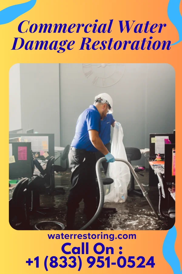 Commercial Water Damage Restoration in Palos Park, IL
