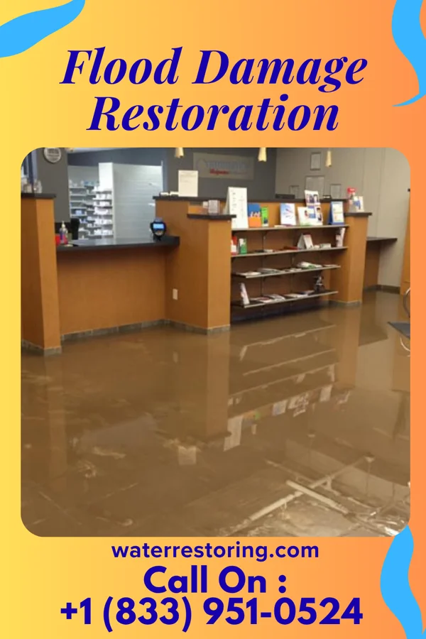Flood Damage Restoration in Palos Park, IL