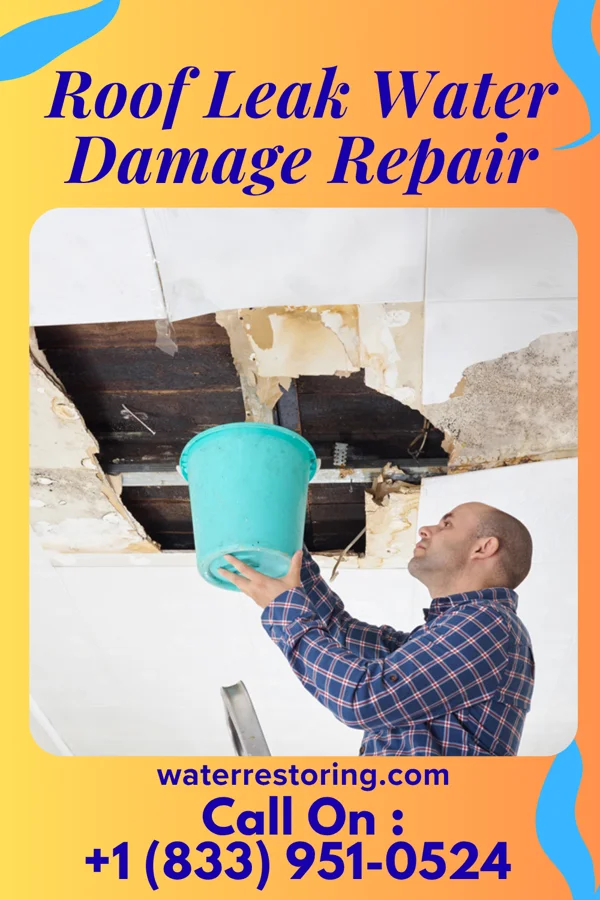 Roof Leak Water Damage Repair in Palos Park, IL