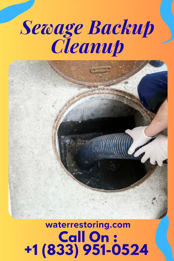 Sewage Backup Cleanup in Palos Park, IL
